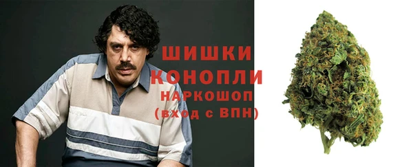 крисы Аркадак