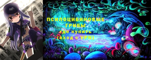 крисы Аркадак